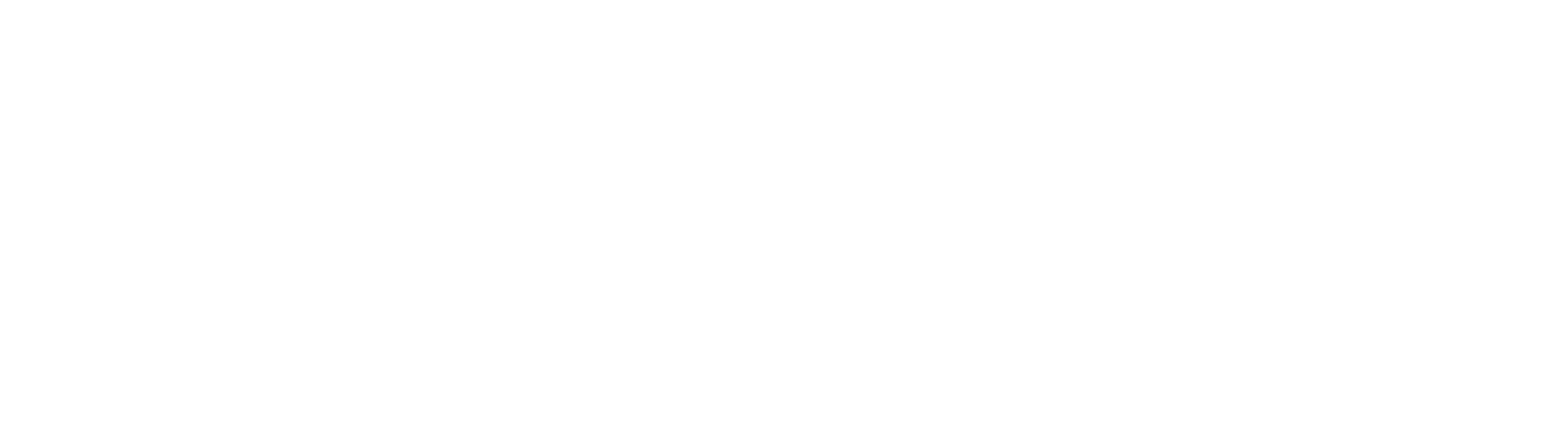 fundacion palpitar logos-15